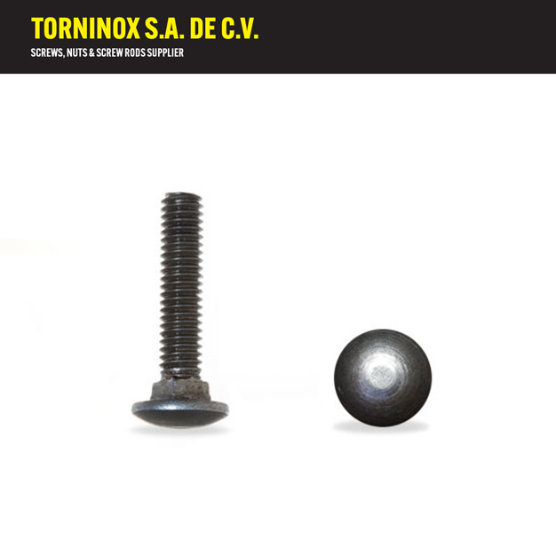 COCG08032   TOR COCHE GAL 5/16 X 1 1/4