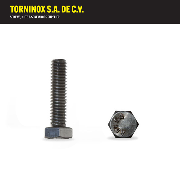 XHEX16025   TOR HEX INOX 5/8 X 1