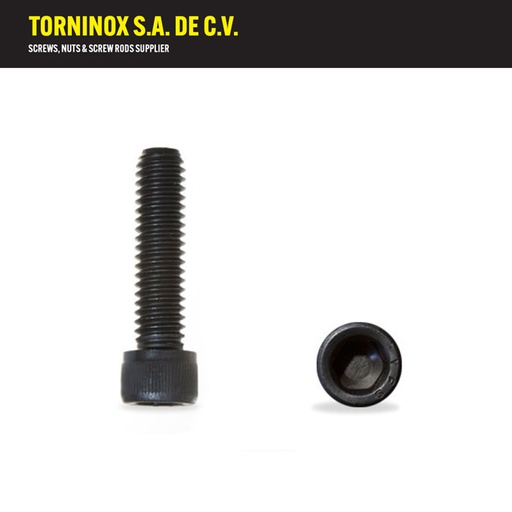 [ACM03016] ACM03016   TOR ALLEN CILIND M 3 X 16
