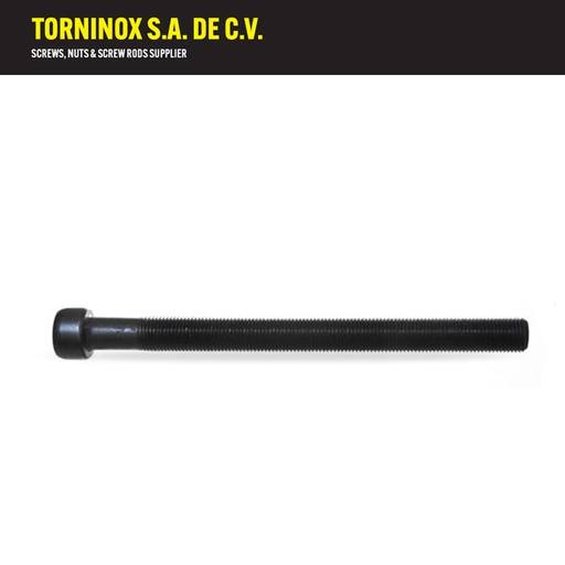 [CEN11152] CEN11152   TOR CENTRO MUELLE 7/16 X 6