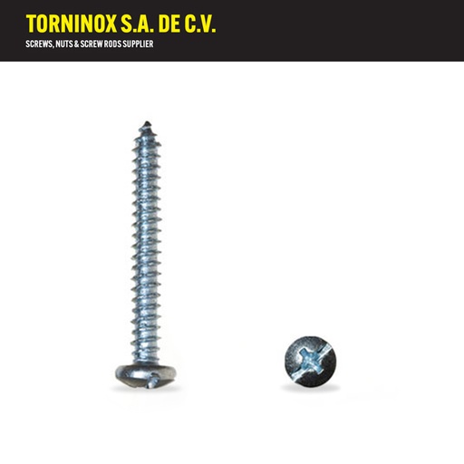 [PF06016] PF06016   PIJA FIJADORA 6 X 5/8