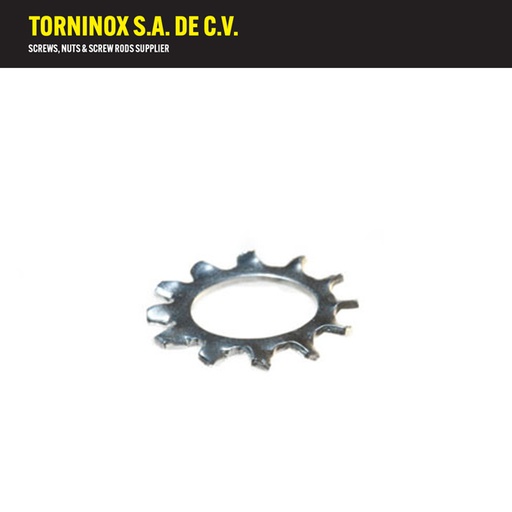[REX05] REX05   ROND ESTRIADA EXT 10
