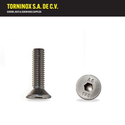 [XAPM04016] XAPM04016   TOR ALLEN PLANA INOX M 4 X 16